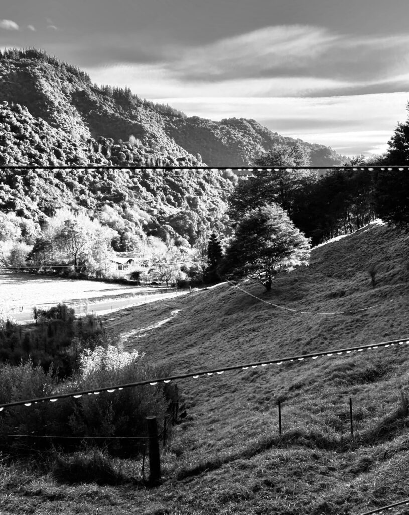 Dewy Winter Morning, Hira, NZ — original painting by Karin Gembus
